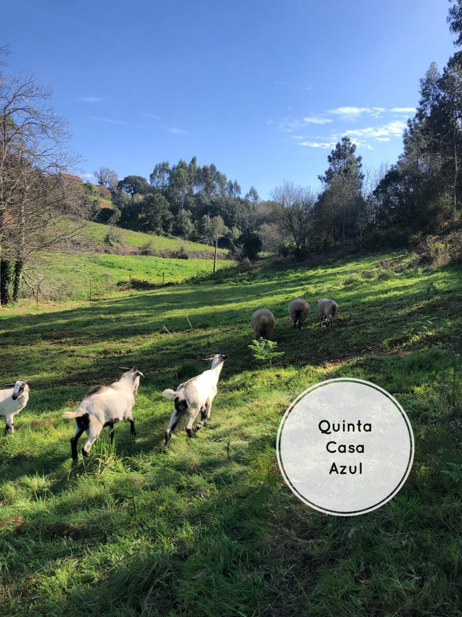 Quinta Da Casa Azul Óbidos Exterior foto